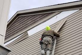 Best Custom Siding Design  in Lake Mills, IA